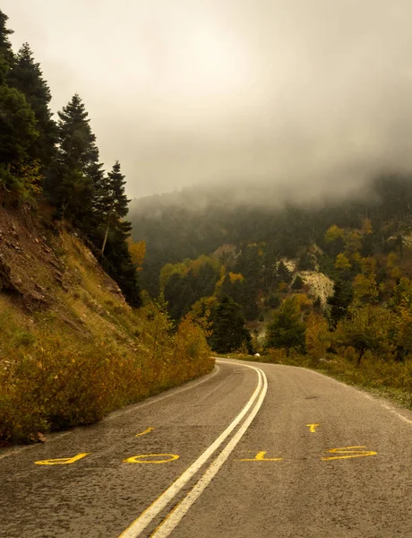 Straße Herbstwald Mit Bäumen Mit Gelbem Laub Und Wolken Auf — Stockfoto