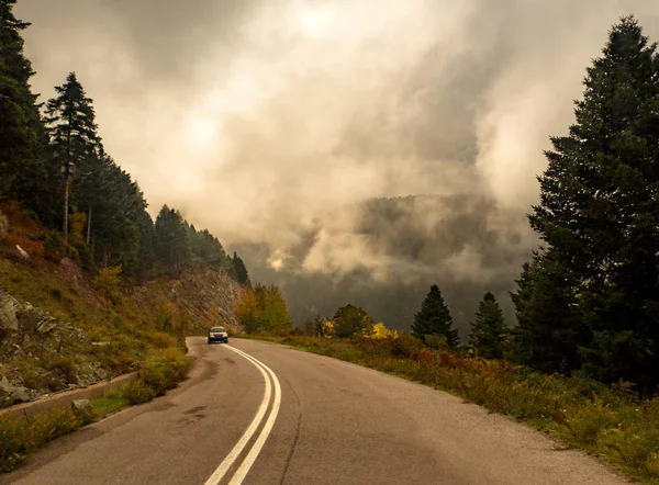Route Dans Forêt Automne Avec Des Arbres Feuillage Jaune Des — Photo