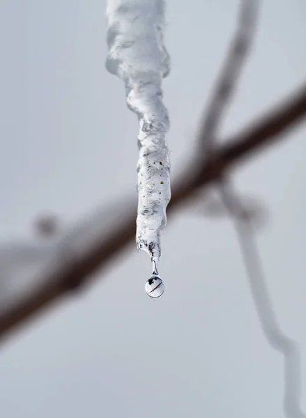 Carámbano Transparente Con Una Gota Agua —  Fotos de Stock