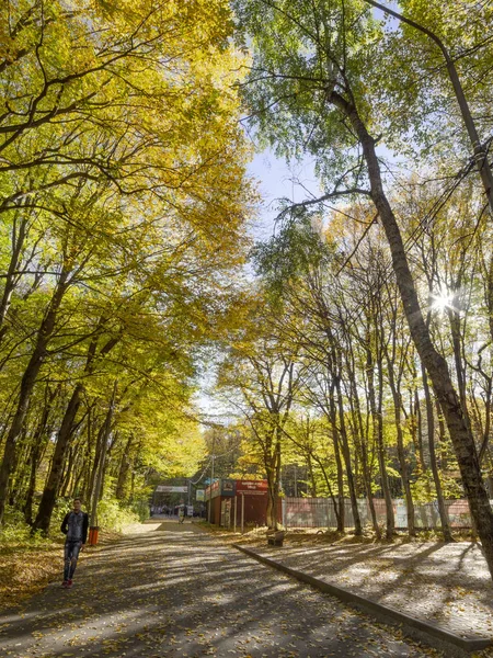 Stavropol Rusland Oktober 2018 Iemand Wandelt Het Victory Park Een — Stockfoto