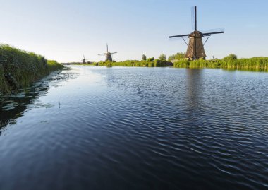Sazlık doğal, Hollanda ile bir kanal kıyısında bir yel değirmeni