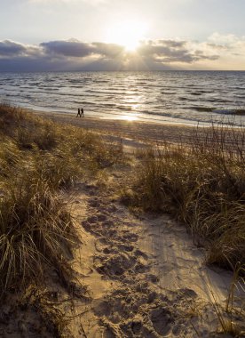 Kumlu plaj ve dunes Klaipeda, Litvanya Baltık Denizi'nin güzel gün batımı