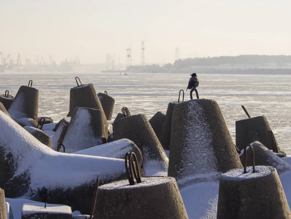 Corvo Fundo Mar Báltico Porto Klaipeda Lituânia Dia Ensolarado Inverno — Fotografia de Stock