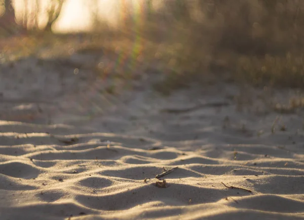 Bella Sabbia Della Spiaggia Del Baltico Tramonto Klaipeda Lituania — Foto Stock