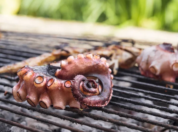 Tentáculos Octopus Com Ventosas Closeup Grelha Ilha Grega — Fotografia de Stock