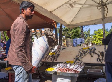 Nea Artaki, Evia island, Greece. May 2019: Greek village market on the island of Evia with fish and a variety of seafood on a Sunny day