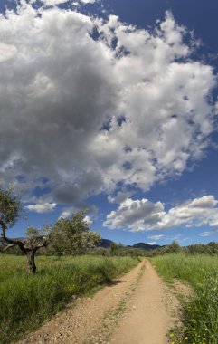 Yunanistan 'ın Evia adasında kar, Dirfys Dağı ve bulutlarla kaplı gökyüzü panoramik görünümü