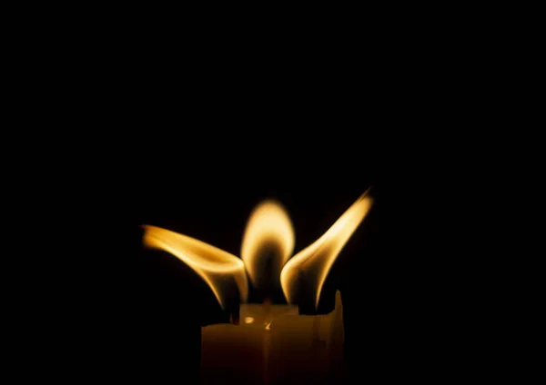 Κερί Φλόγα Σαν Ένα Λουλούδι Μαύρο Φόντο — Φωτογραφία Αρχείου