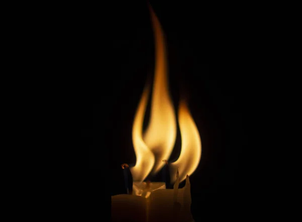 Пламя Свечи Подобно Цветку Черном Фоне — стоковое фото