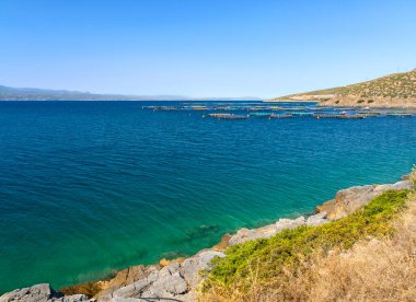 Ege Denizi 'nin kayalıklarından ve Yunanistan' ın Evia adasında güneşli bir günde bir balık çiftliği manzarası