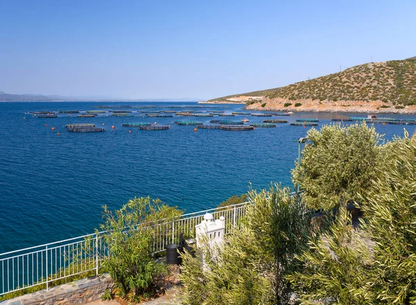 Vista Superior Desde Los Acantilados Del Mar Egeo Una Piscifactoría — Foto de Stock