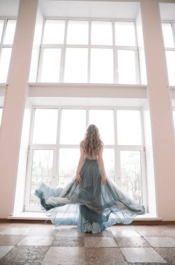 Peri kızı Prenses kütüphanede ders çalışıyor