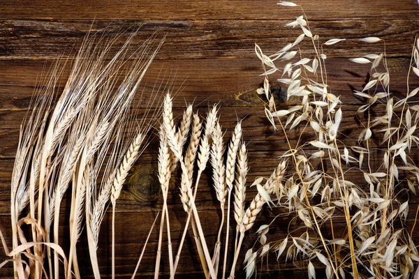 De mogna öronen av vete, korn och havre — Stockfoto
