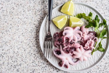 Gri arka planda kireç ve otlar ile gri bir plaka lezzetli bebek ahtapot. Seçici odak