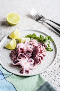 Gri arka planda kireç ve otlar ile gri bir plaka lezzetli bebek ahtapot. Seçici odak