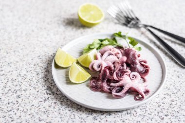 Gri arka planda kireç ve otlar ile gri bir plaka lezzetli bebek ahtapot. Seçici odak