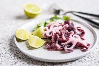 Gri arka planda kireç ve otlar ile gri bir plaka lezzetli bebek ahtapot. Seçici odak