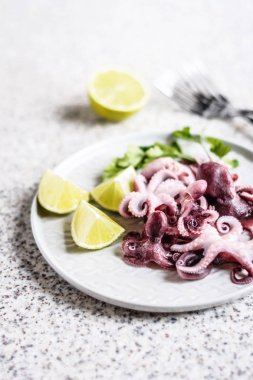 Gri arka planda kireç ve otlar ile gri bir plaka lezzetli bebek ahtapot. Seçici odak