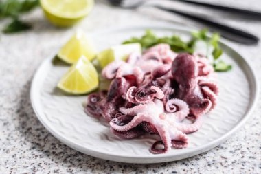 Gri arka planda kireç ve otlar ile gri bir plaka lezzetli bebek ahtapot. Seçici odak