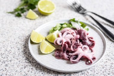 Gri arka planda kireç ve otlar ile gri bir plaka lezzetli bebek ahtapot. Seçici odak