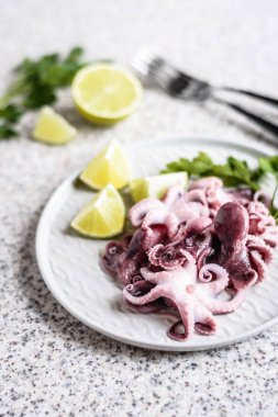 Gri arka planda kireç ve otlar ile gri bir plaka lezzetli bebek ahtapot. Seçici odak