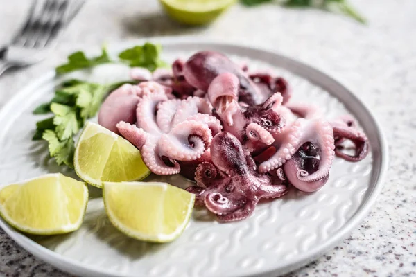 Gri arka planda kireç ve otlar ile gri bir plaka lezzetli bebek ahtapot. Seçici odak