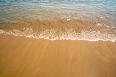 Plaj ve deniz doğa su tropikal