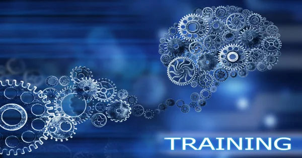 Brain build out of cogs Innovation with ideas and concepts,Training,business background