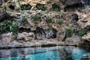 Doğa su mavi beyaz balık penguenler dağ tesisleri 