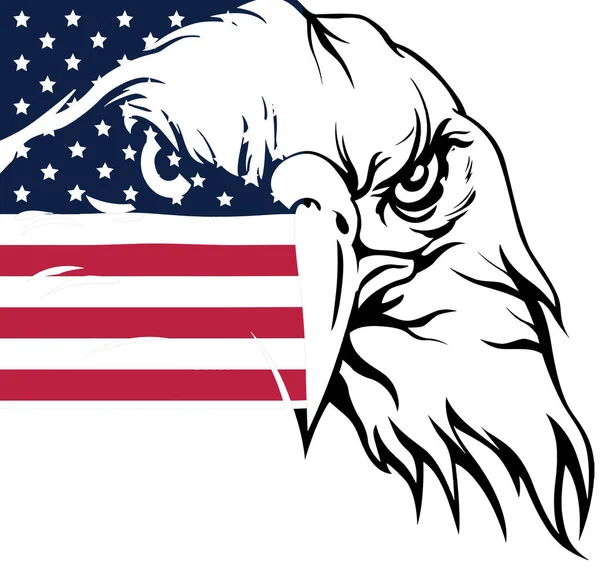 Eagle America Bandera — Foto de Stock