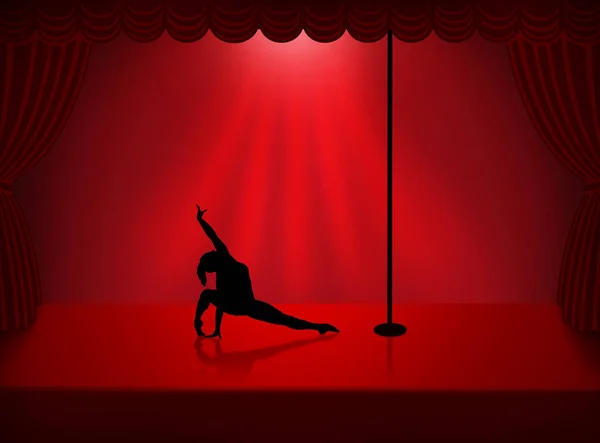 Pole Dance Sport Girl — Stock Photo, Image