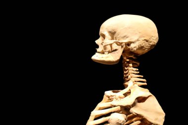 İnsan iskeleti anatomik ölüm soyutlandı 