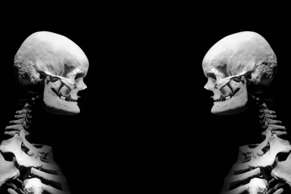 Ανθρώπινος Σκελετός Ανατομικός Θάνατος Αφηρημένα Ισοπεδωμένος — Φωτογραφία Αρχείου
