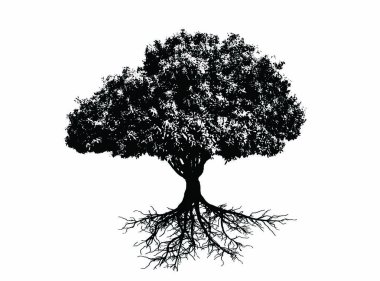Ağaç - Bonsai bitkisi