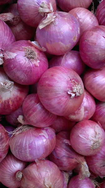 Large onion on the market — Stock Photo, Image