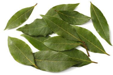 Defne yaprakları üzerinde beyaz arka plan yukarıdan izole