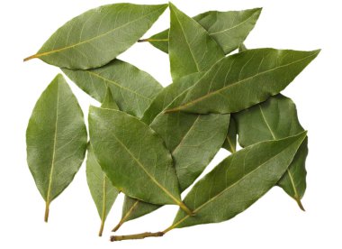 beyaz zemin üzerinde izole defne yaprakları