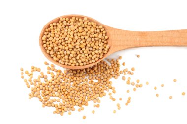 hardal tohumu tahta kaşık beyaz arka plan üzerinde izole içinde. üstten görünüm