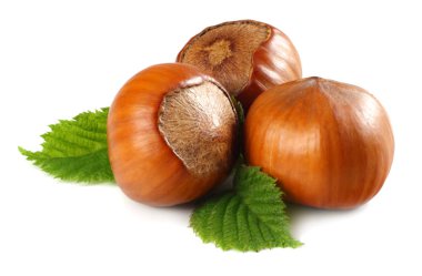 Beyaz arka plan üzerinde izole yaprakları ile fındık. makro