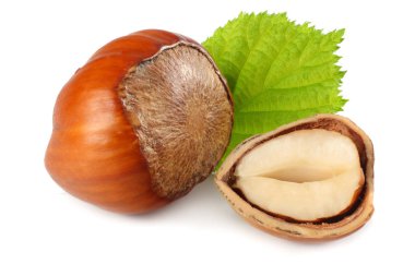 Beyaz arka plan üzerinde izole yaprakları ile fındık. makro