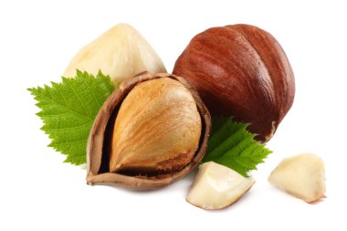 Beyaz arka plan üzerinde izole yaprakları ile fındık. makro