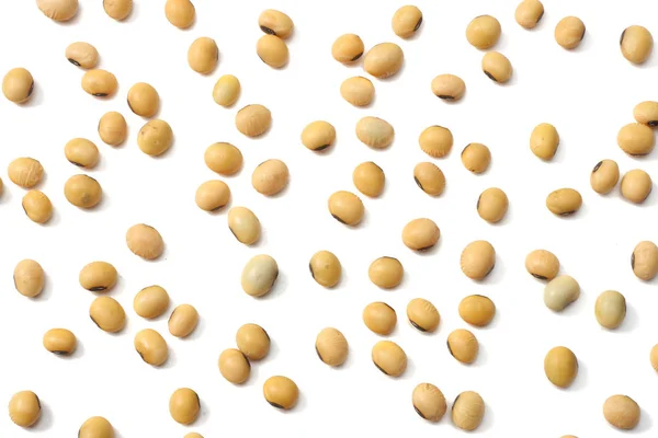 大豆は 白い背景で隔離 トップ ビュー — ストック写真
