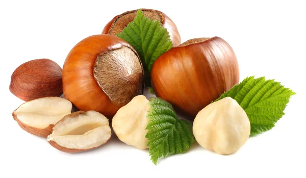 Beyaz arka plan üzerinde izole yaprakları ile fındık. makro