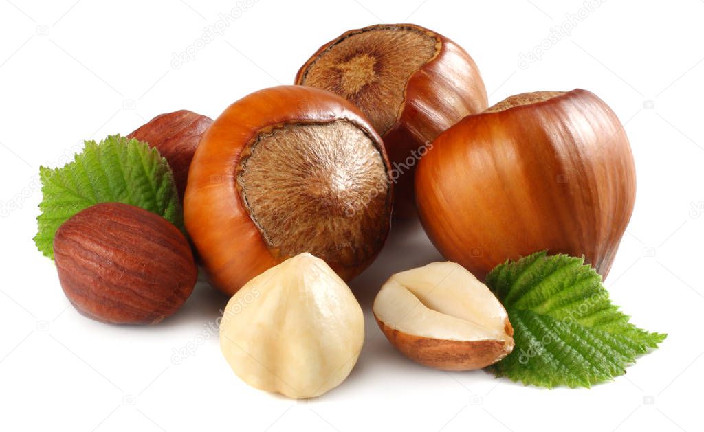 hazelnuts with leaves isolated on white background. macro