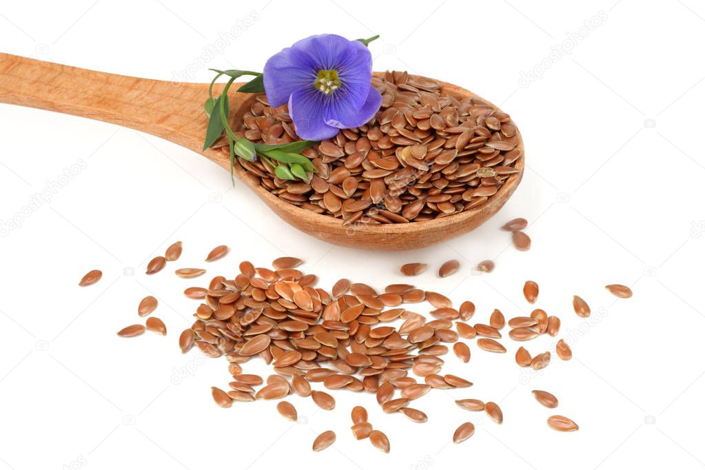 flax seeds in wooden spoon with flower isolated on white background. flaxseed or linseed. Cereals