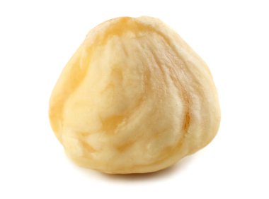 Beyaz bir arka planda izole edilmiş bir fındık. makro