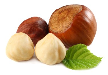 Beyaz arka plan üzerinde izole yaprakları ile fındık. makro