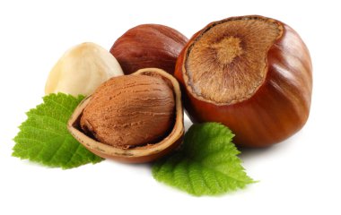 Beyaz arka plan üzerinde izole yaprakları ile fındık. makro