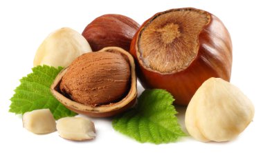 Beyaz arka plan üzerinde izole yaprakları ile fındık. makro