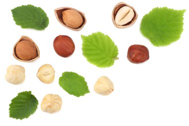 Beyaz arka planda yaprakları olan fındıklar. en üstteki görünüm